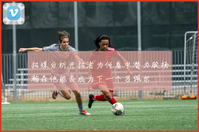 拓媒分析开拓者为何看中潜力股杨瀚森他能否成为下一个吕佩尔
